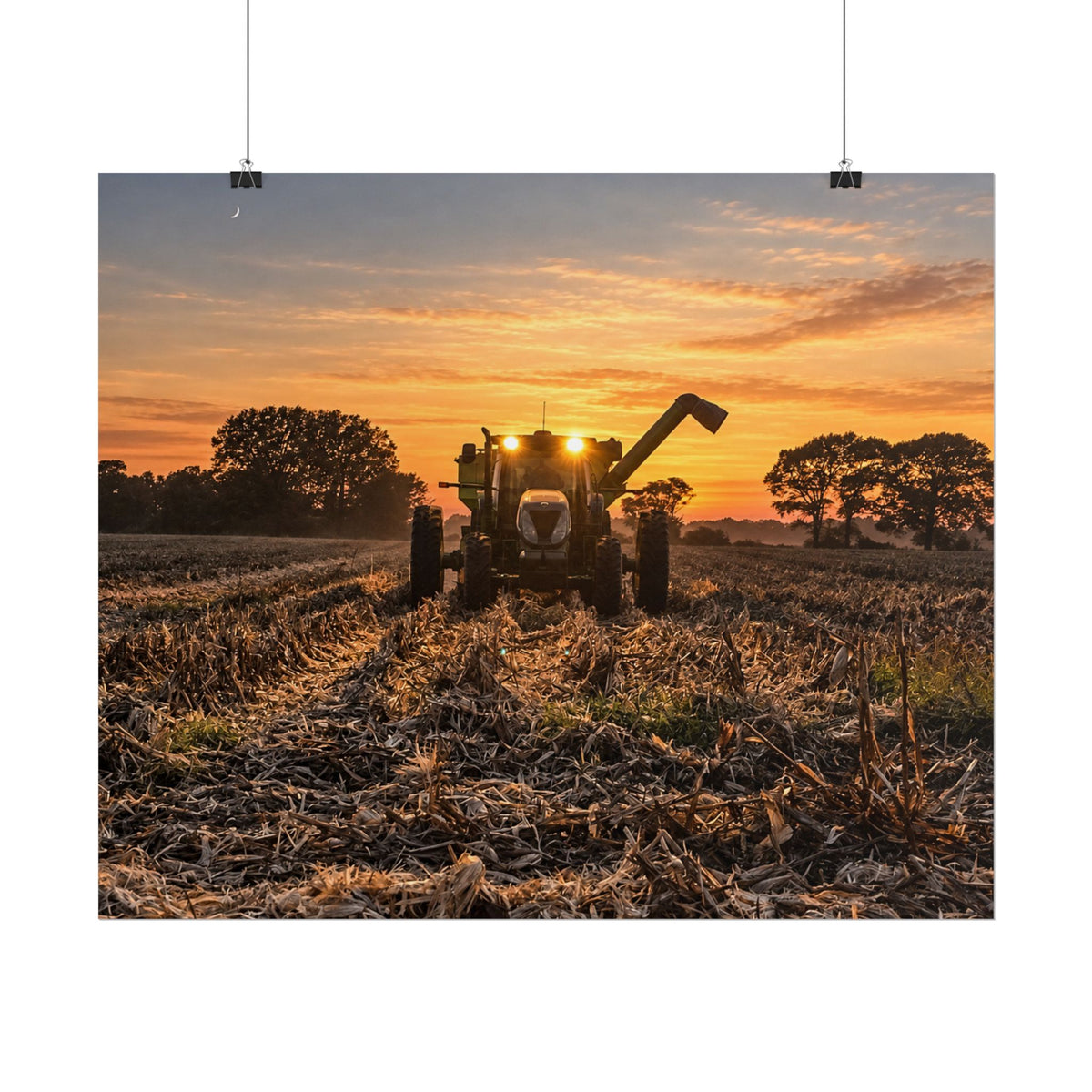 Fields of Gold Rolled Posters