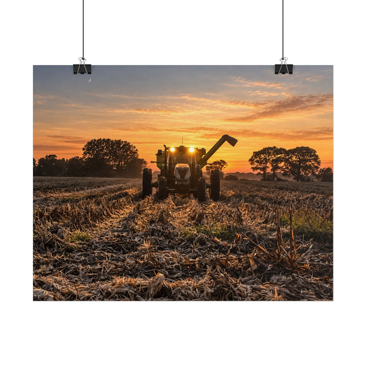Fields of Gold Rolled Posters