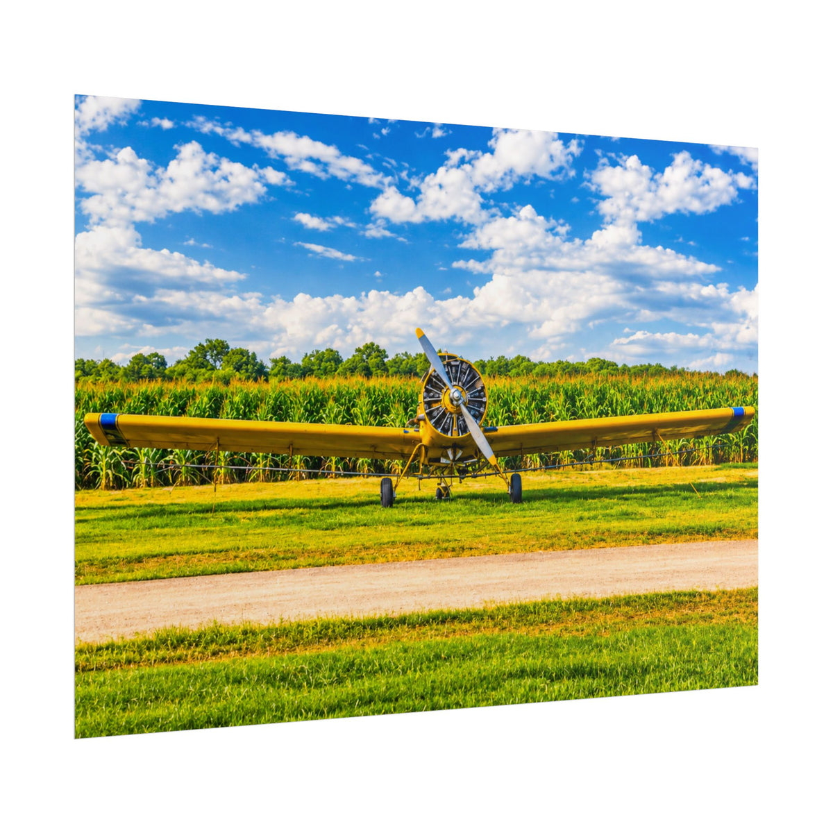 Delta Duster Rolled Posters