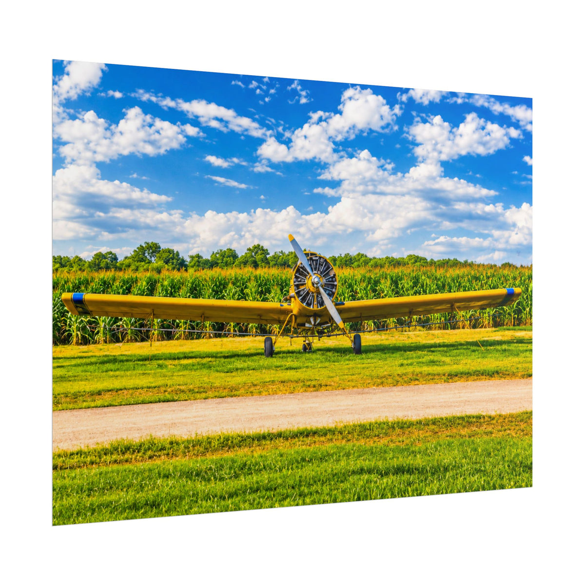 Delta Duster Rolled Posters