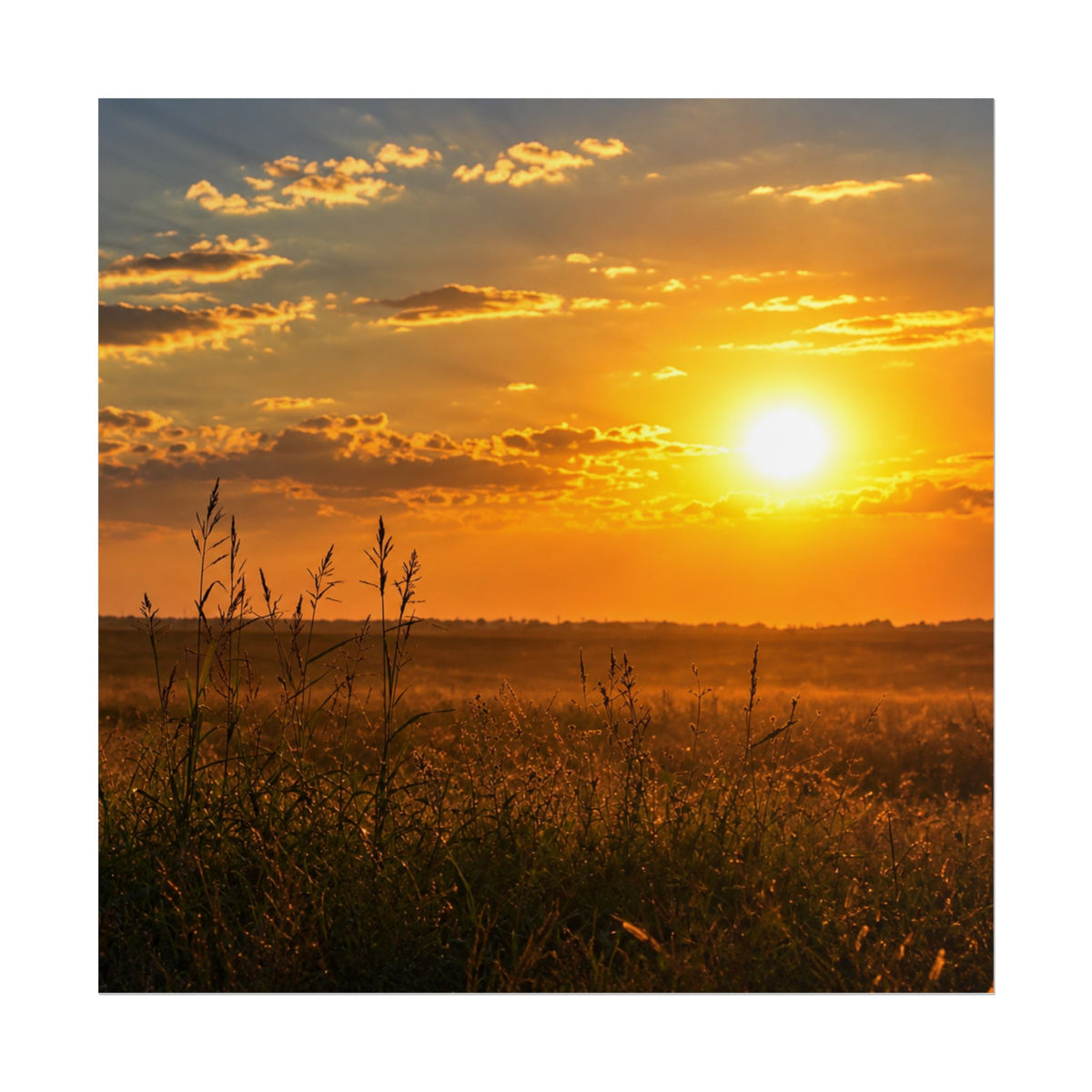 West Carroll SunSundown Posters