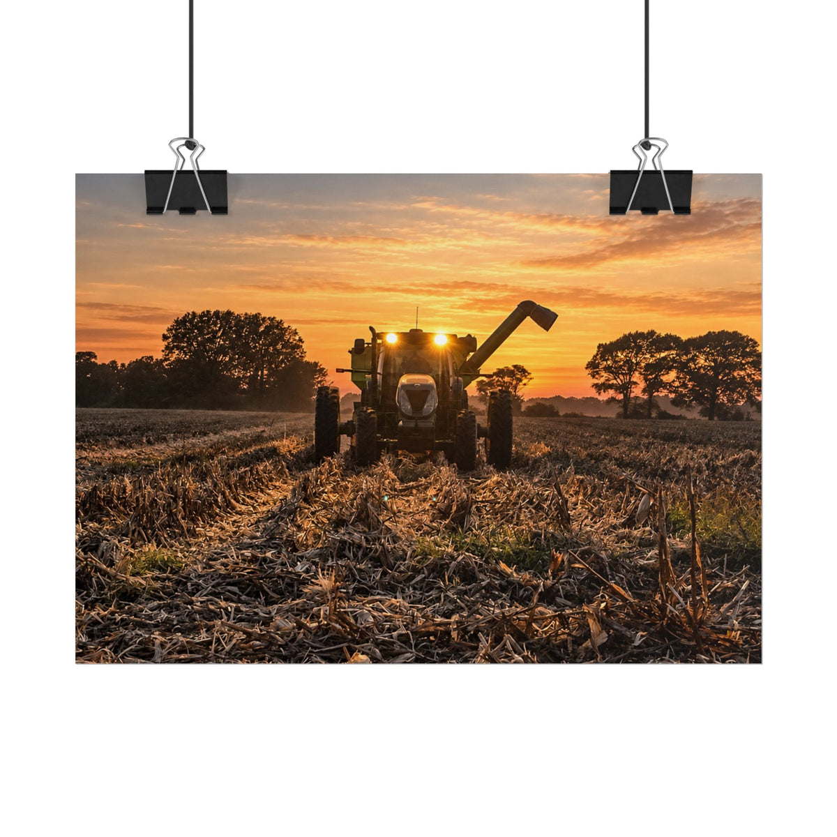 Fields of Gold Rolled Posters
