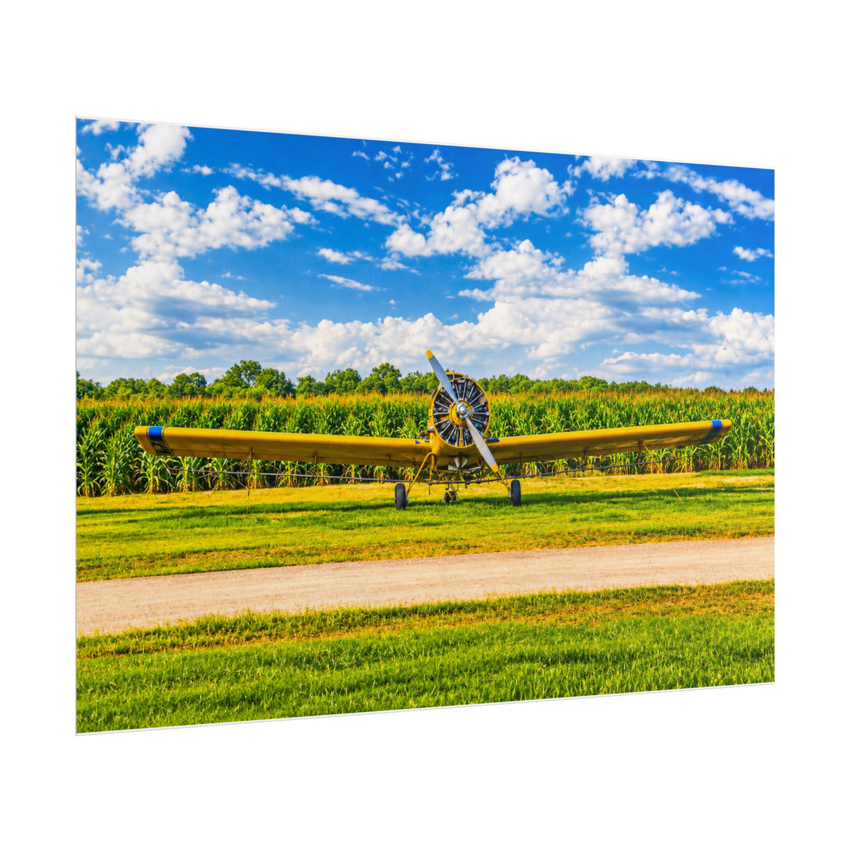 Delta Duster Rolled Posters
