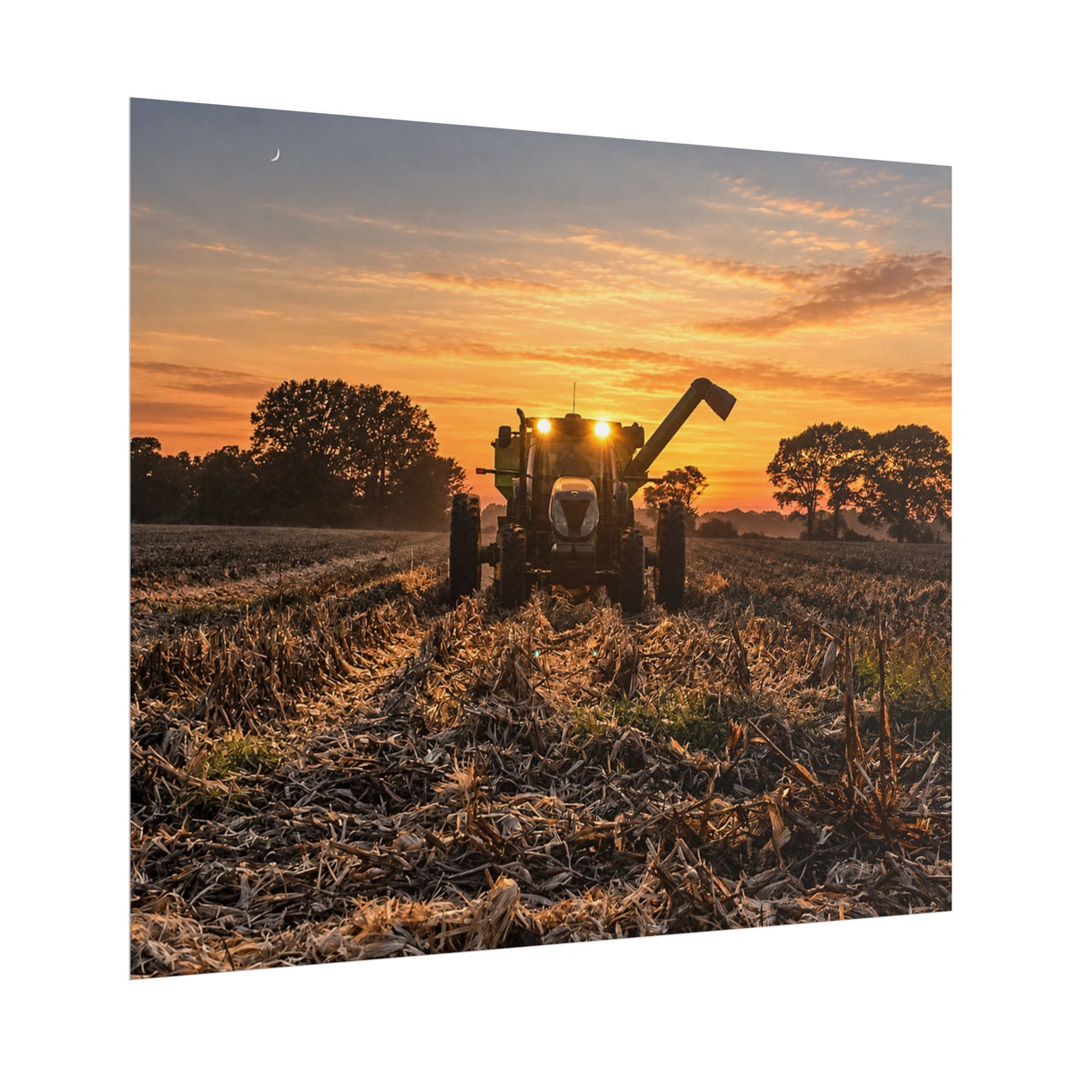 Fields of Gold Rolled Posters