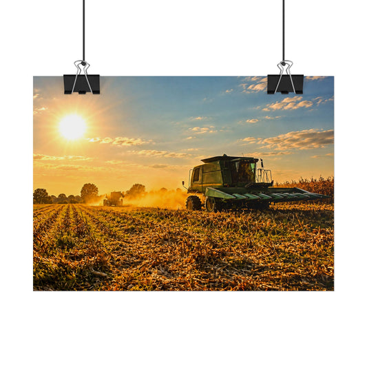 Harvesting Sunshine Rolled Posters
