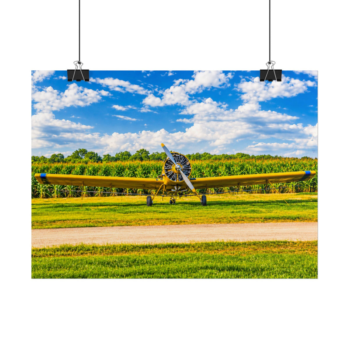 Delta Duster Rolled Posters