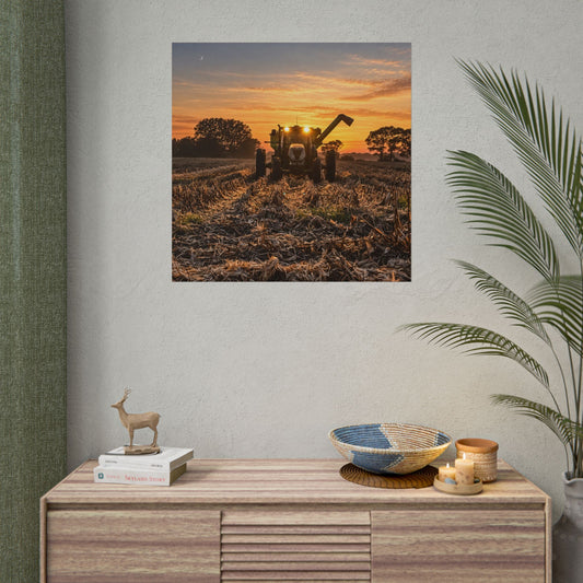 Fields of Gold Rolled Posters