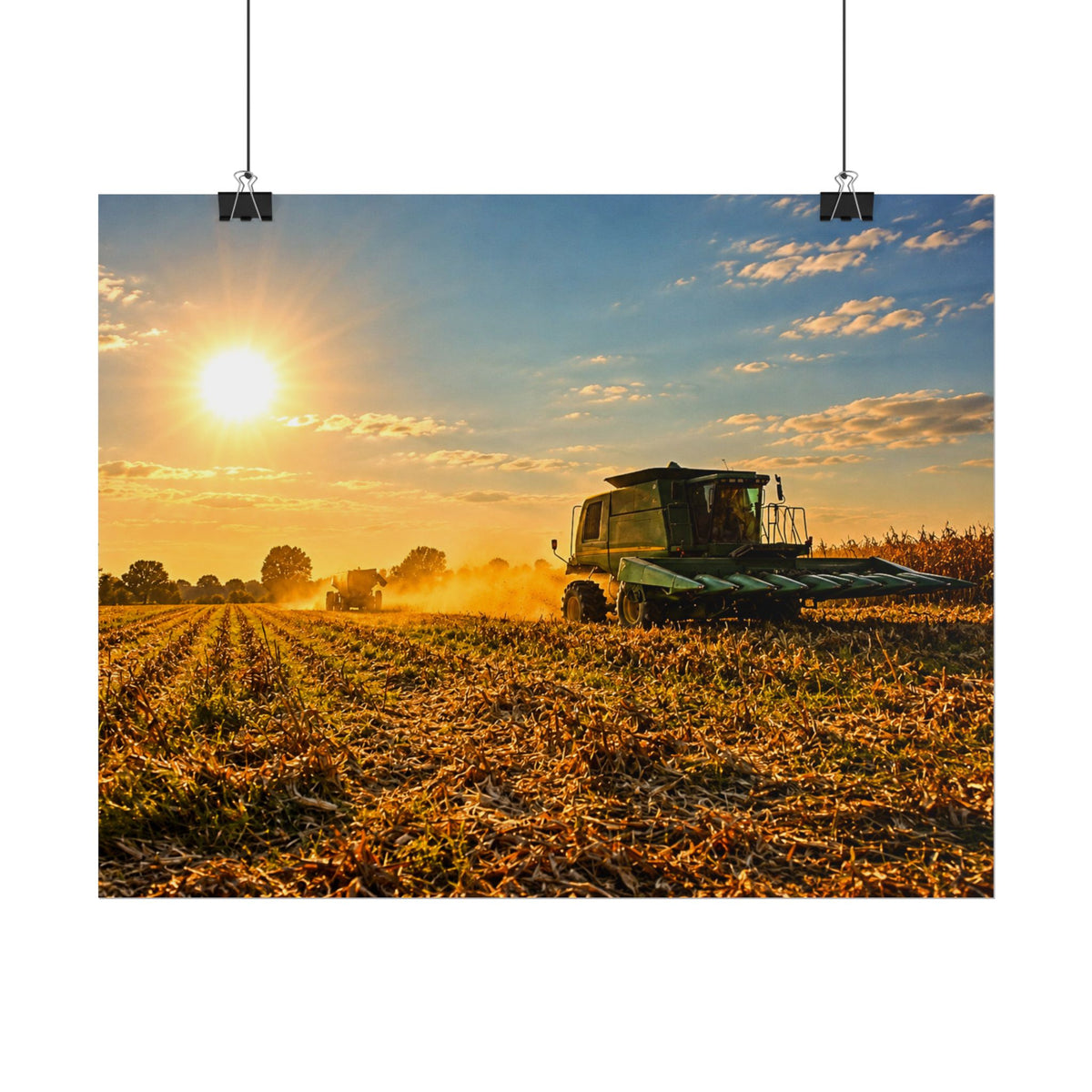 Harvesting Sunshine Rolled Posters
