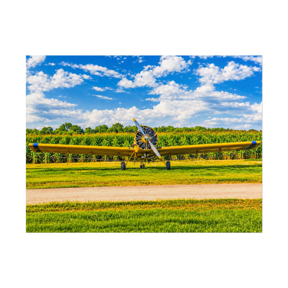 Delta Duster Rolled Posters