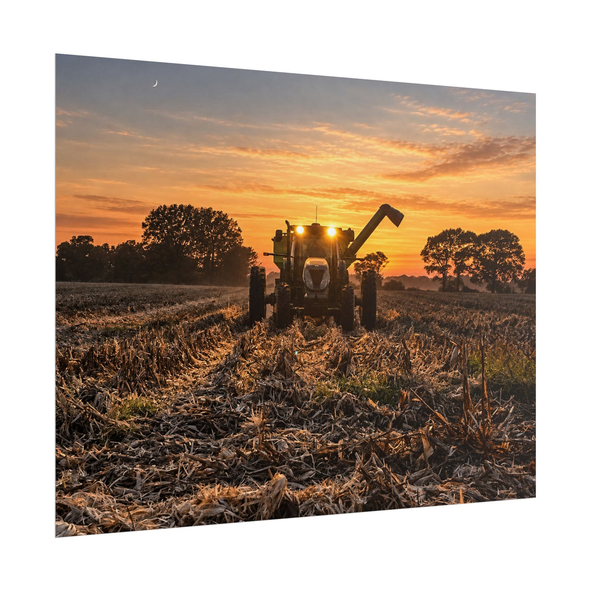 Fields of Gold Rolled Posters
