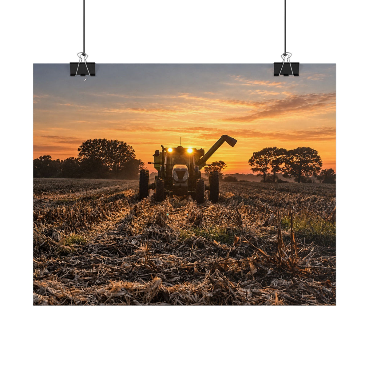 Fields of Gold Rolled Posters
