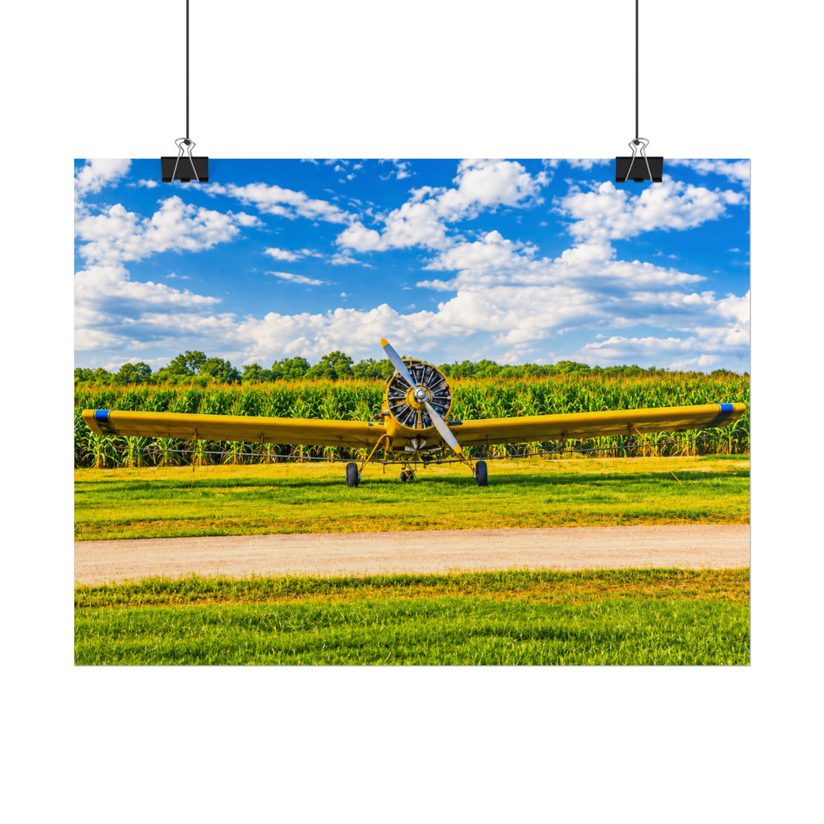 Delta Duster Rolled Posters