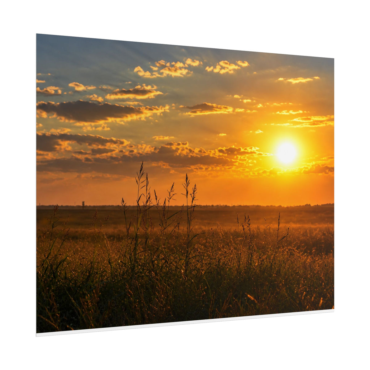 West Carroll SunSundown Posters
