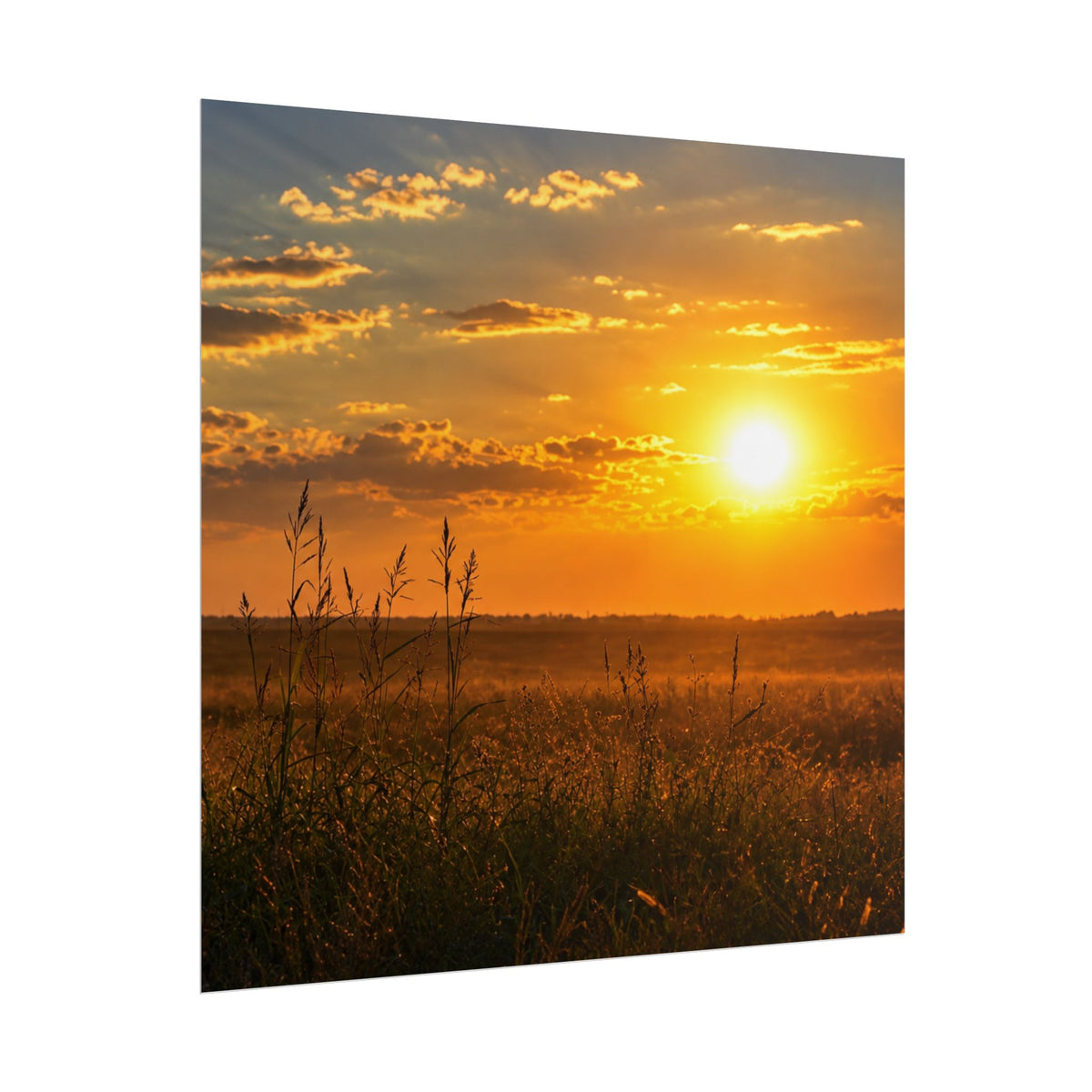 West Carroll SunSundown Posters