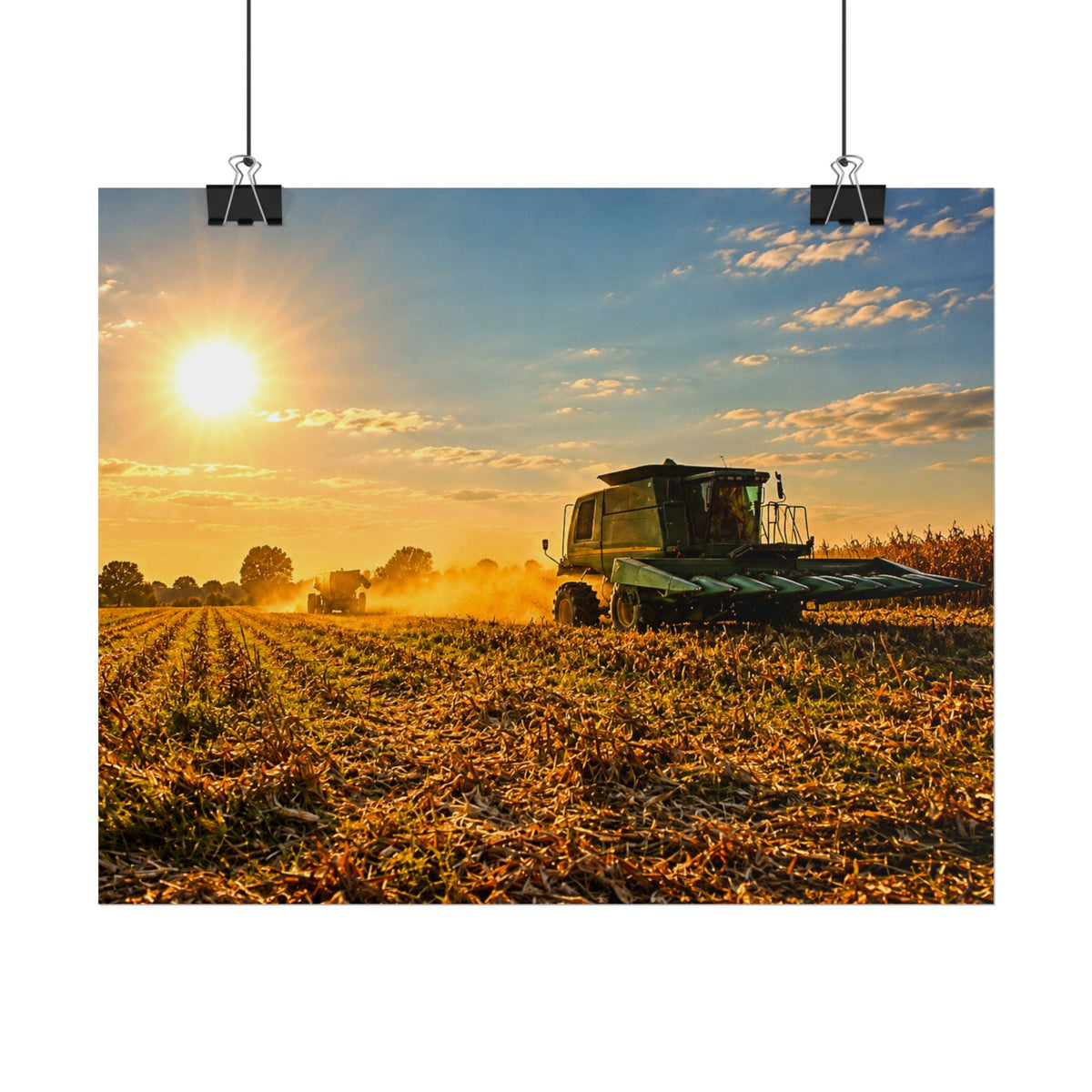 Harvesting Sunshine Rolled Posters