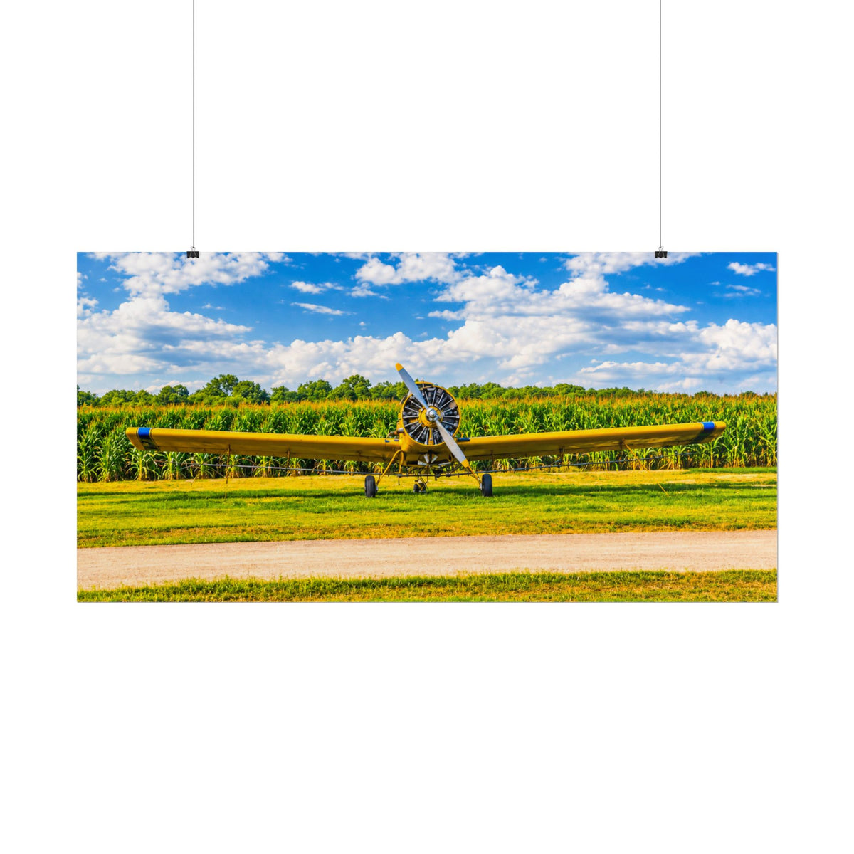 Delta Duster Rolled Posters