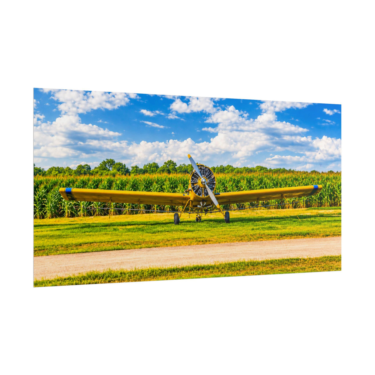 Delta Duster Rolled Posters