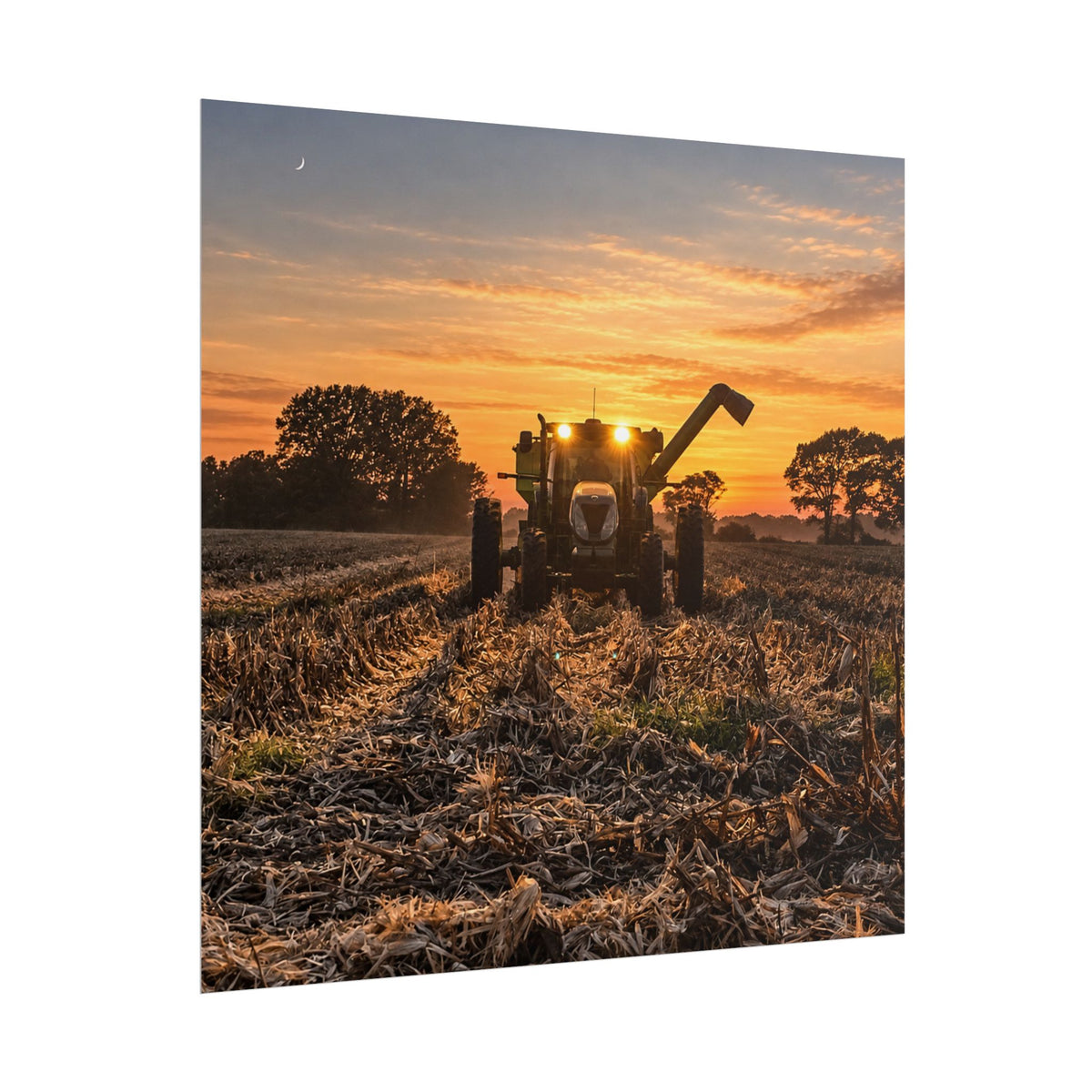 Fields of Gold Rolled Posters