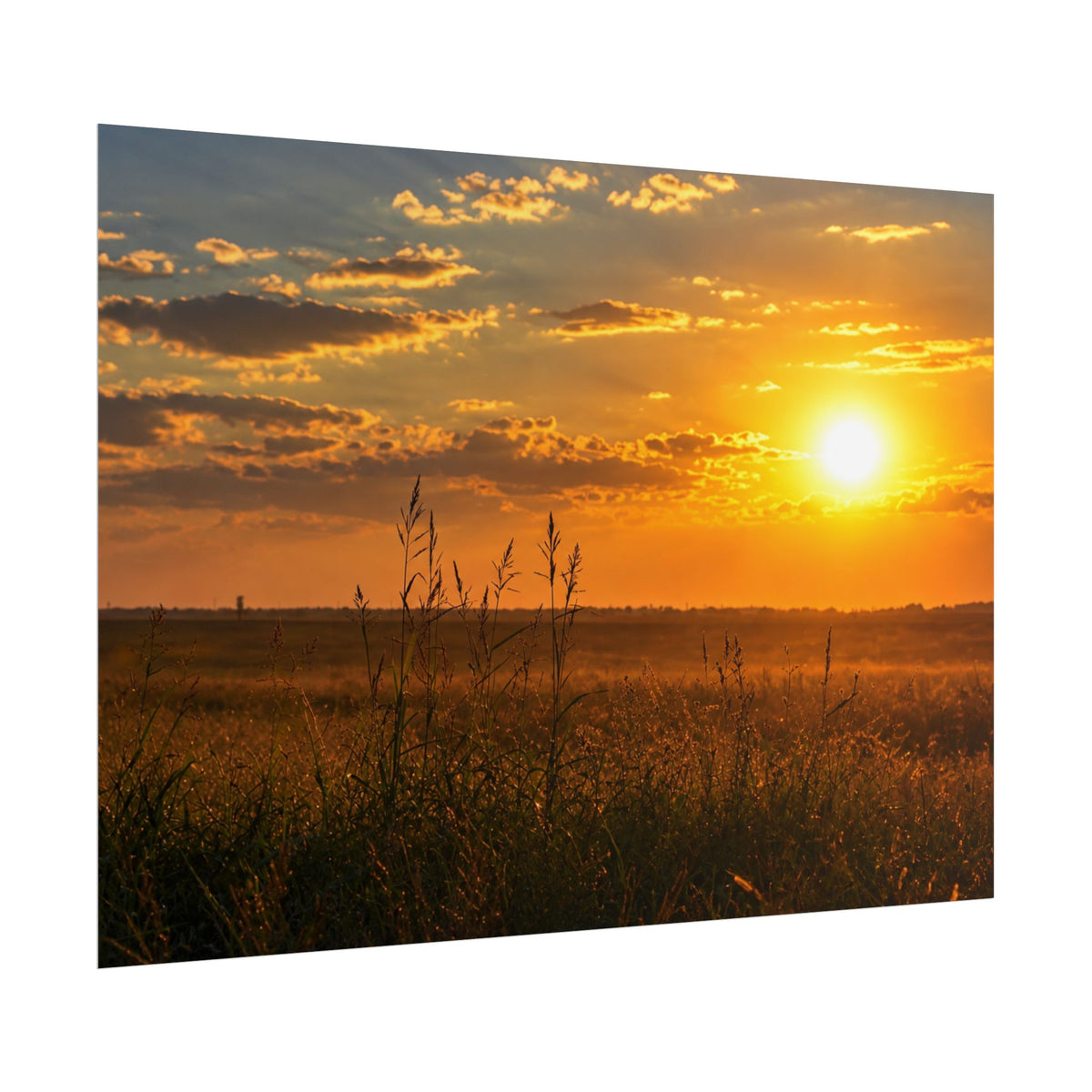 West Carroll SunSundown Posters