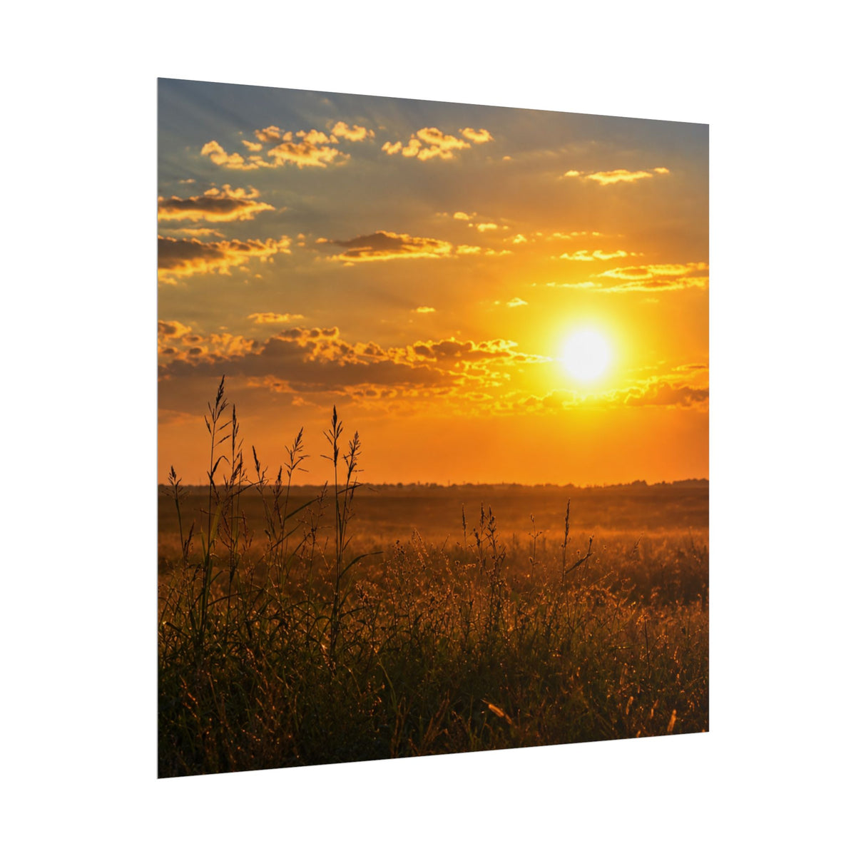 West Carroll SunSundown Posters