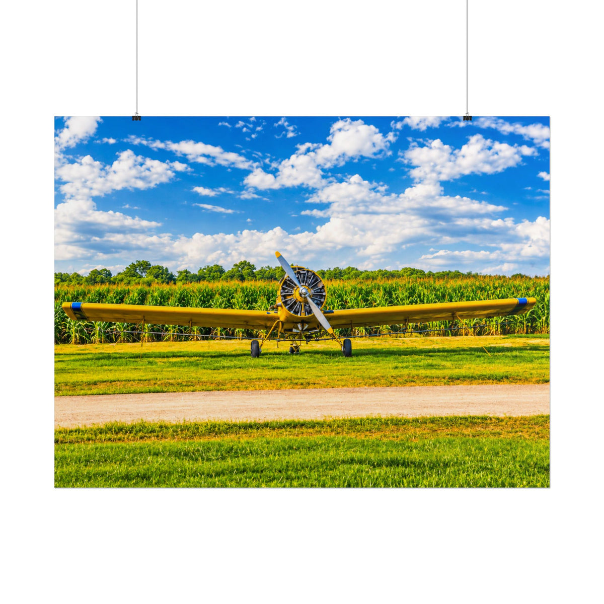 Delta Duster Rolled Posters