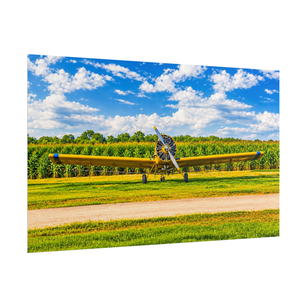 Delta Duster Rolled Posters