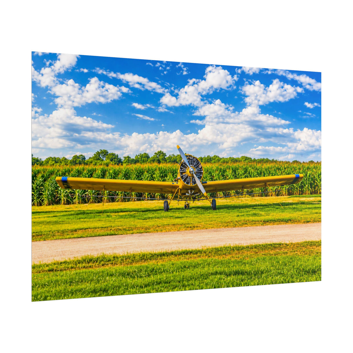 Delta Duster Rolled Posters