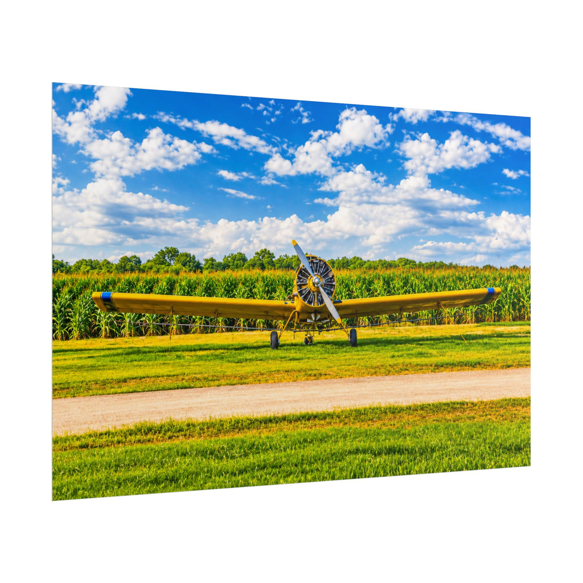 Delta Duster Rolled Posters